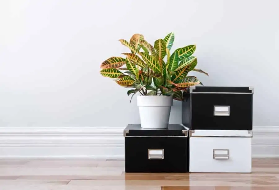 storage boxes