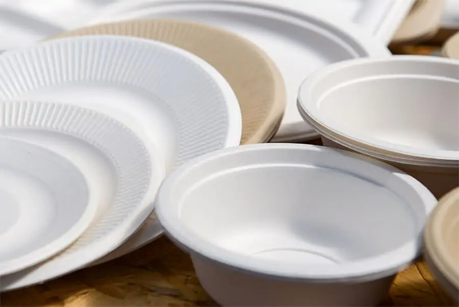 disposable dishware